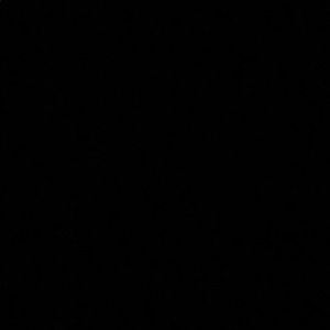 Meet your Posher, Chase